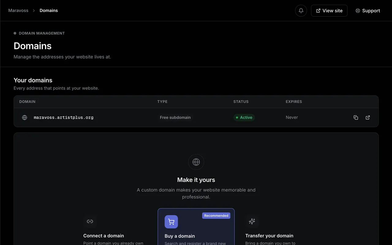 The Domains page: the artist's free Artistplus subdomain listed as active, with a panel below it to connect, buy or transfer a custom domain.